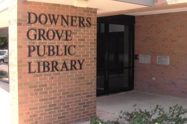 Downers Grove library art collection on display at upcoming fundraiser