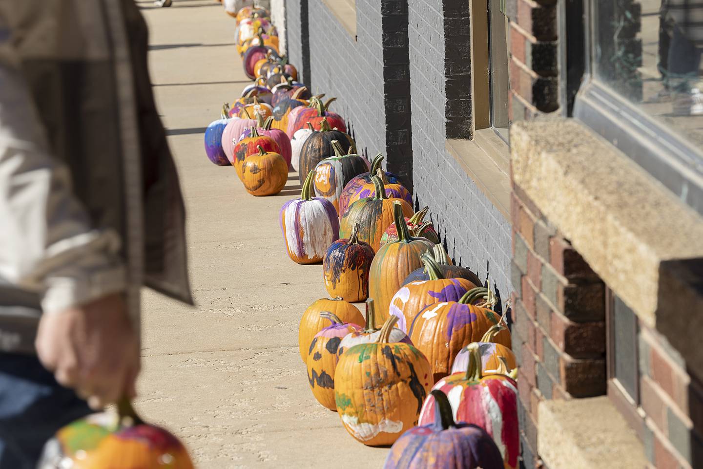 Dozens of decorated pumpkins line up to dry along First Street Saturday, Oct. 19, 2024, in Dixon