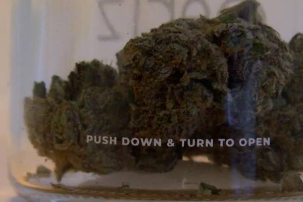 7 years after legalization, final recreational marijuana licensing lawsuit goes to court