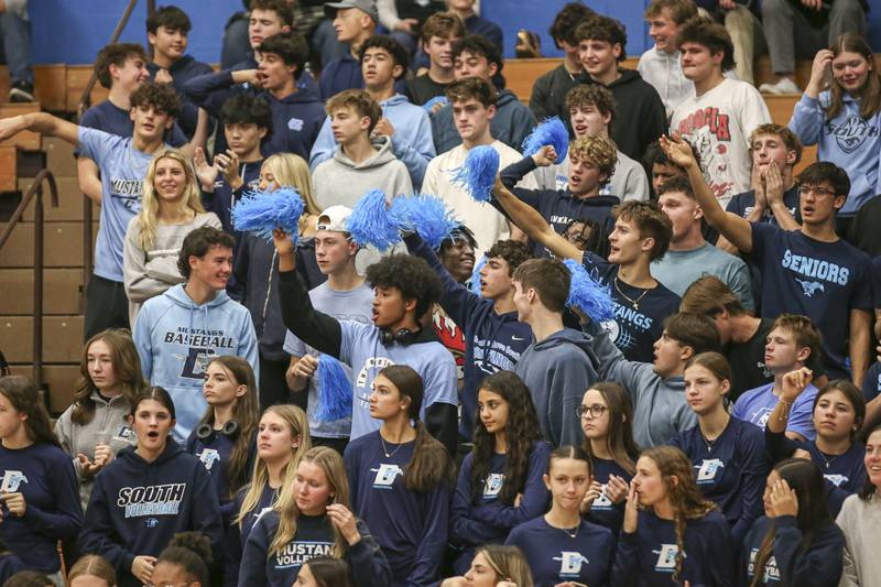 The Downers Grove South student section cheers on the team during Class 4A Lyons Sectional Semifinal volleyball match between Downers Grove South at Downers Grove North. Nov 4, 2025 in La Grange.