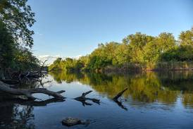 Will County forest district secures $4.7 million for trail expansion projects 