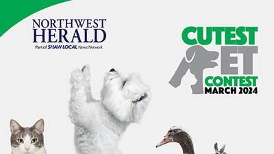VOTE NOW! McHenry County's March 2024 Cutest Pet Contest