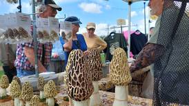 Morel Fest returns to Ottawa