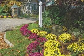 Extend fall gardening plans with Illinois Extension Four Seasons webinars