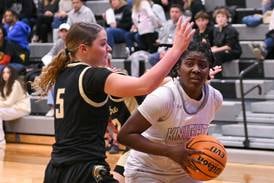 Daily Chronicle girls basketball postseason preview: 5 things to know