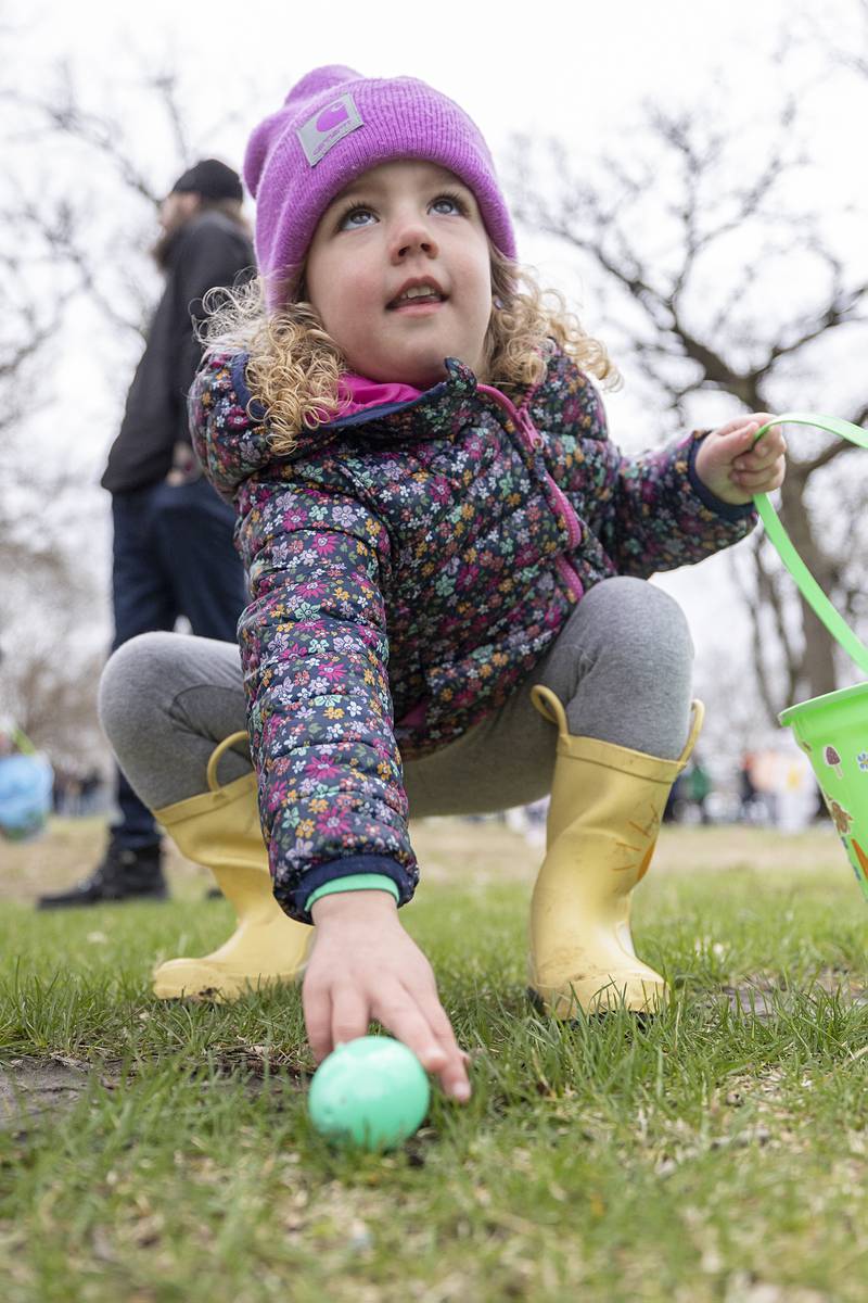A young hunter scoops up an egg Saturday, April 4, 2026, at the Cliff Walter Easter Egg Hunt in Amboy.