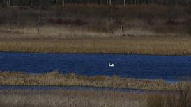 Wildlife refuge gets 1,000 new acres, touted as largest open land acquisition in Chicago area in decades