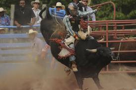 5 Things to Do in Kankakee County: Pembroke Rodeo, Thursday Harvest Hang at Locavore Farm