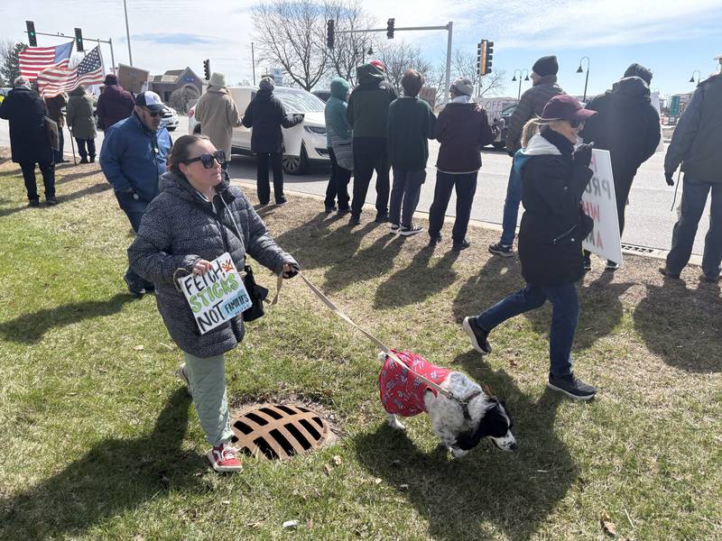 Protesters walk along grass by Route 14 at a No Kings rally in Crystal Lake, Saturday, March 28, 2026.