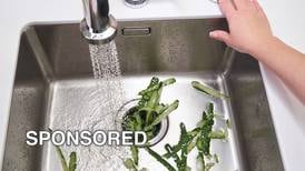Kitchen Sink Disposal Use and Maintenance Tips During the Holidays