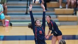 Girls volleyball: Record Newspapers team-by-team preview capsules for the 2024 season