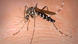 Oglesby mosquitoes test positive for West Nile