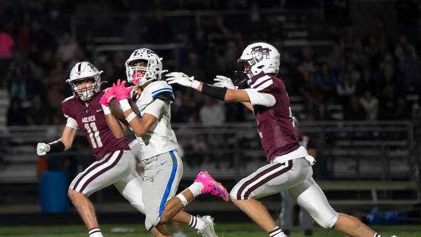 Prairie Ridge High aims to sell naming rights for renovated stadium with artificial turf