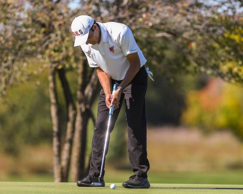 Hinsdale Central's Dru Devata on Monday Oct. 7, 2024, during the 3A sectional match held at Blackberry Oaks Golf Course in Bristol.