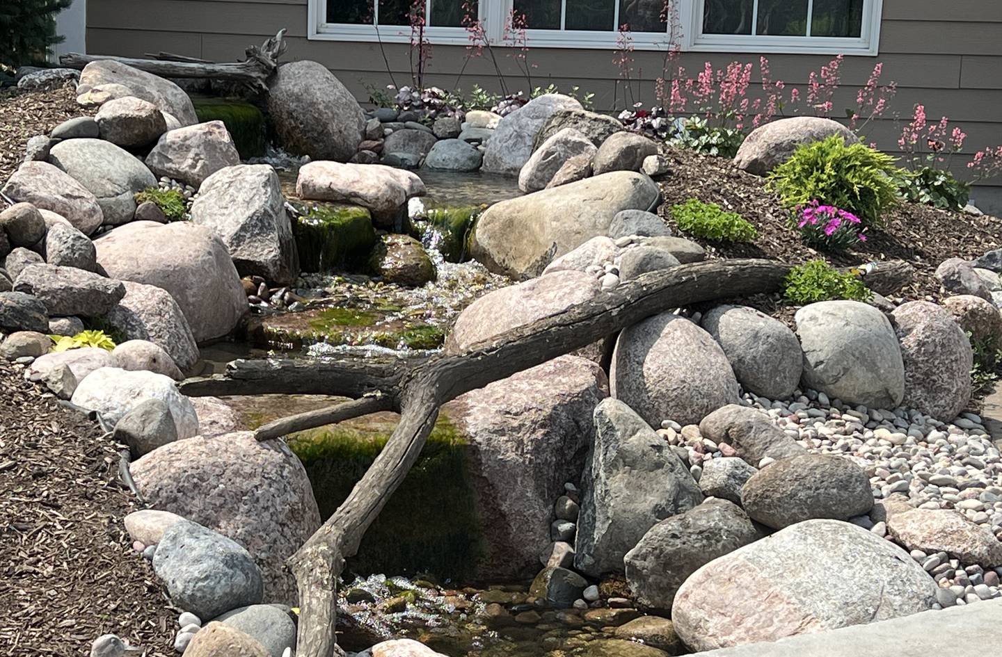 The Larson family garden