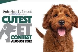 August 2022 Suburban Life Cutest Pet Contest