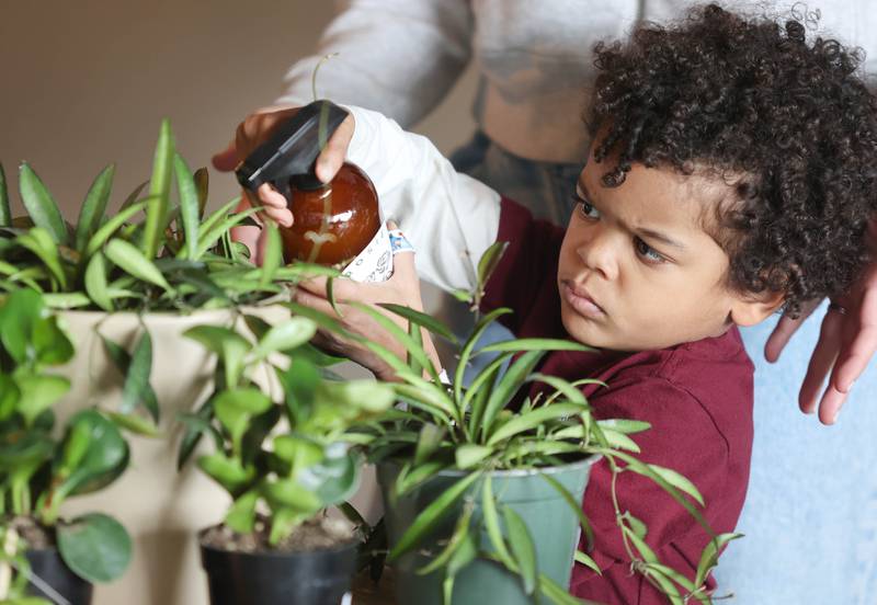 T.J. Rorer, 4, son of Kailey and Troy Rorer, owners of The Greenhouse in Sycamore, helps out by spraying some of the plants Tuesday, April 19, 2022, at the store. The Greenhouse will celebrate its grand opening on Saturday, April 23. The store will sell houseplants, plant stands, pots and other giftable items.