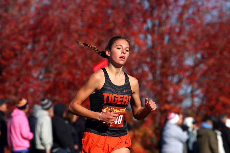 Crystal Lake Central’s Hadley Ferrero runs in a Class 2A Sectional Cross Country Meet at Emricson Park in Woodstock Saturday.