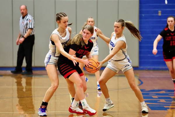 Princeton girls hold off Hall for 41-39 win 