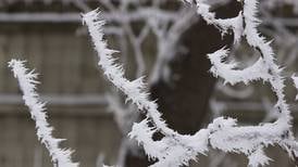 Youth mental health services available in DeKalb County