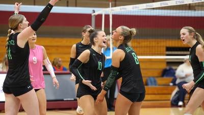 Photos: Providence bests Lemont for Class 3A Kankakee Sectional volleyball championship