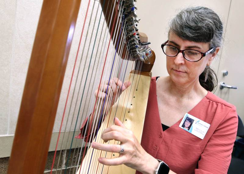 Jen Conley, a music therapist from Northern Illinois Hospice, entertains visitors during the senior health fair Wednesday, July 12, 2023, at DeKalb High School.