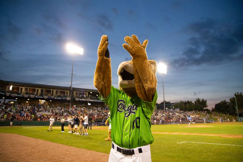 Kane County Cougar's mascot Ozzie encourages the crowd to cheer during a game against the Lake Country Dockhounds at Northwestern Medicine Field on Tuesday, July 26, 2022.