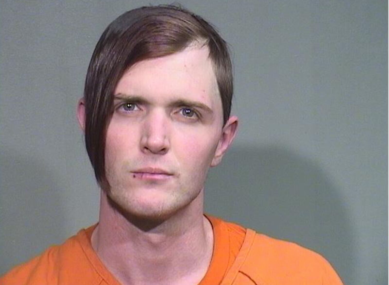 Wonder Lake resident accused of kicking officer in the groin, biting