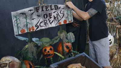 For these McHenry County residents, Halloween season opportunity for some spooktacular home decorating
