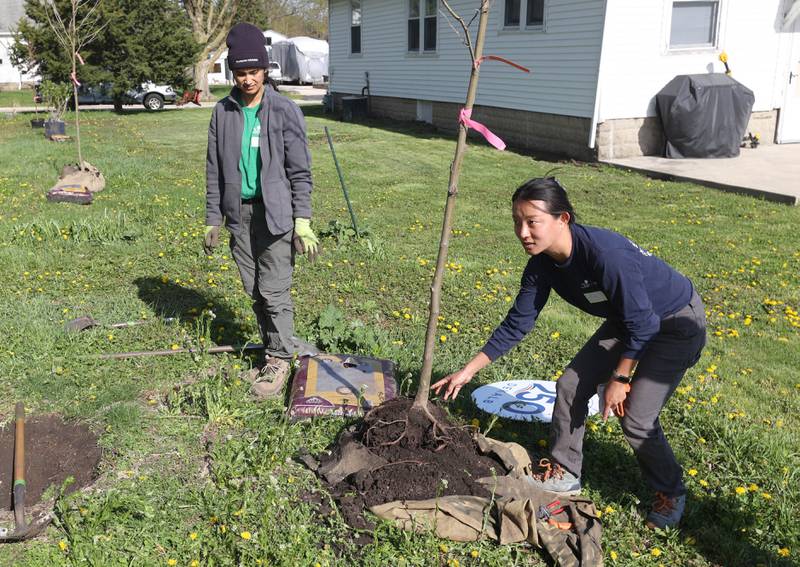 Mia Howerton, (right) CRTI stewardship coordinator with Morton Arboretum, along with Lisa Nalliah, also with the arboretum, instructs volunteers on the proper way to plant trees Tuesday, April 21, 2026, during the planting event at Elder Care Services in DeKalb. Several trees were planted by volunteers at the location to kick off the DeKalb Township’s 250 Trees for Tomorrow initiative.