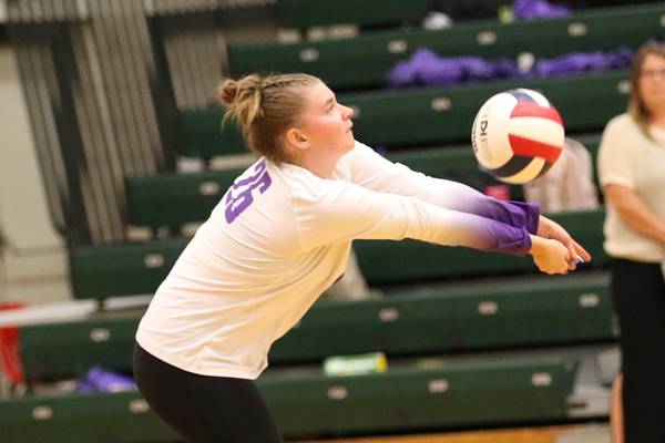 Rochelle volleyball beats Sycamore, loses to Kaneland: Rochelle News Leader high school sports roundup