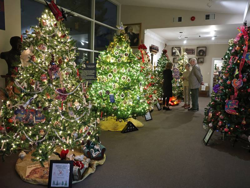 A Christmas tree wonderland awaits