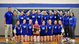 2025 BCR Sectional Volleyball Previews 