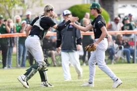 Photos: Bishop McNamara vs. Manteno, Class 2A Beecher Sectional semifinal baseball