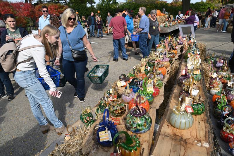 People attending the Glass Pumpkin Patch view the multitude of items available for purchase at Morton Arboretum on Saturday, Oct. 12, 2024 in Lisle.