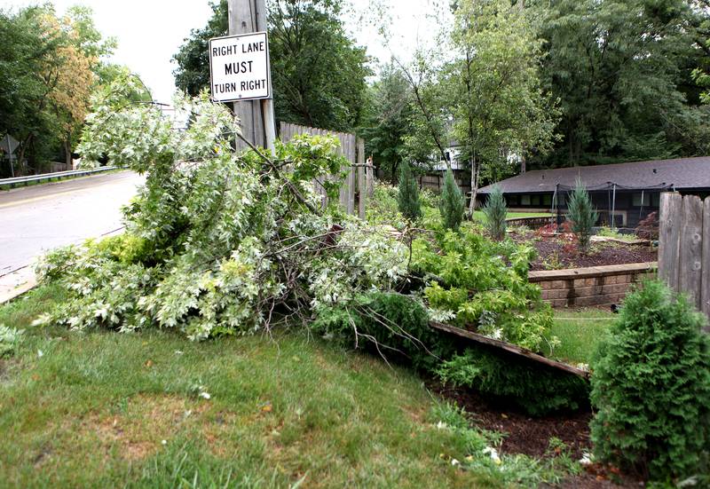 A reported microburst caused a downed tree and fence at a home on South Bennett Street in Geneva on Wednesday, Aug. 11, 2021.