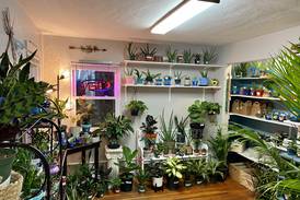 Crest Hill plant, wellness store opens new location