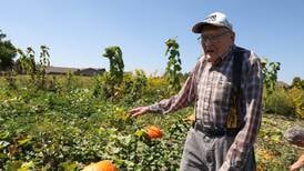 Retired farmer’s pumpkins bolster senior garden club