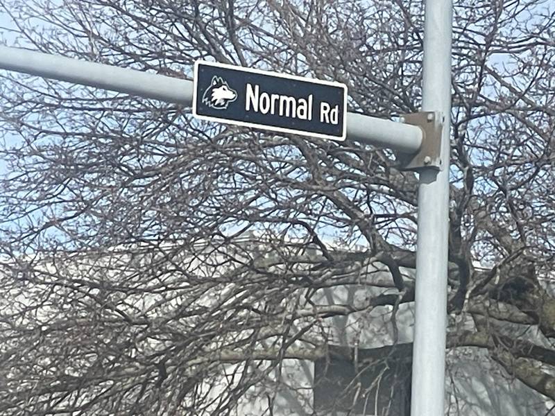 A street sign is seen Tuesday, March 25, 2025, along Normal Road at the intersection where the crosswalk meets Lucinda Avenue in DeKalb.