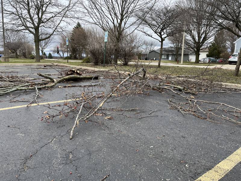 Scattered trees in a parking lot near Houbolt Road in Joliet on Saturday, April 1, 2023.