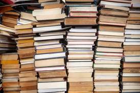 Fascinating characters in a book can include the reader