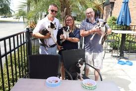 Where to dine with dogs in Will County 
