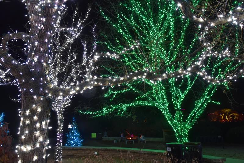 Visitors to the Morton Arboretum’s “Illumination” can make s’mores over warming bonfires.