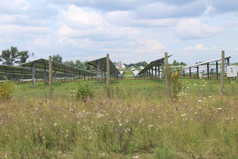 Nexamp's solar farm near Harvard, in 2023.