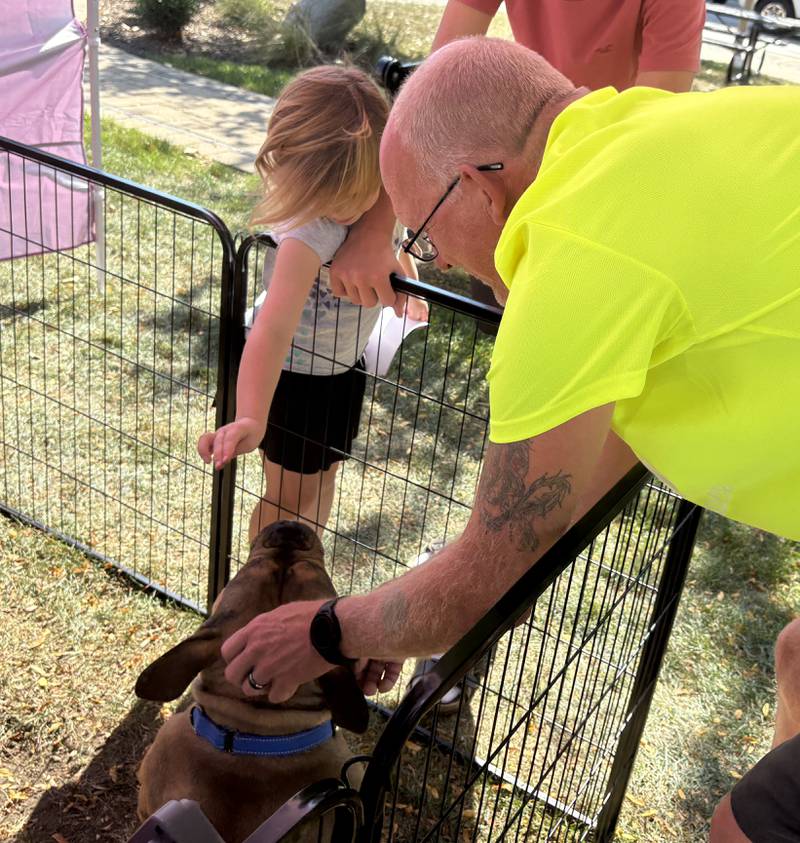 Blayke Gustafson, left, 5, of Huntley, Stryder Gustafson, 14, of Huntley and Ken Miller of Wonder Lake pet Mr. Potato, a foster dog with Bark of an Angel Dog Rescue at the Huntley Farmers Market Oct. 4, 2025.