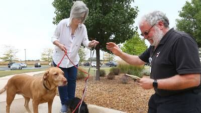 OSF to host blessing of the animals in Ottawa, Streator