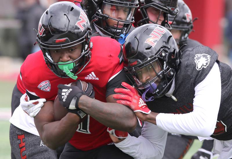 Northern Illinois running back Antario Brown is brought down by linebacker Daveren Rayner during the Spring Showcase Saturday, April 22, 2023, at Huskie Stadium at NIU in DeKalb.