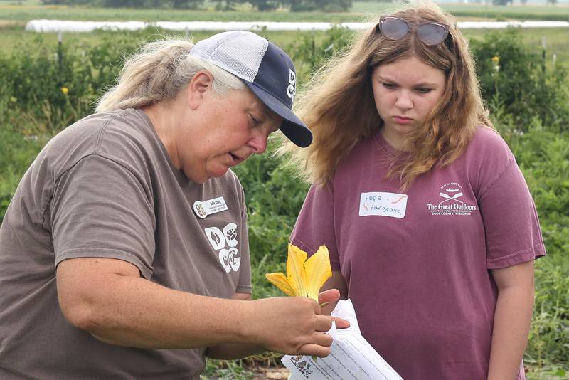 Julie Craig, (left) Walnut Grove Vocational Farm assistant program director, shows Hope Hargrave, 14, from Kirkland, insects inside a squash blossom, Wednesday, July 27, 2022, during the DeKalb County Community Gardens Sustainable Food Safari Camp's stop at Walnut Grove Vocational Farm in Kirkland.