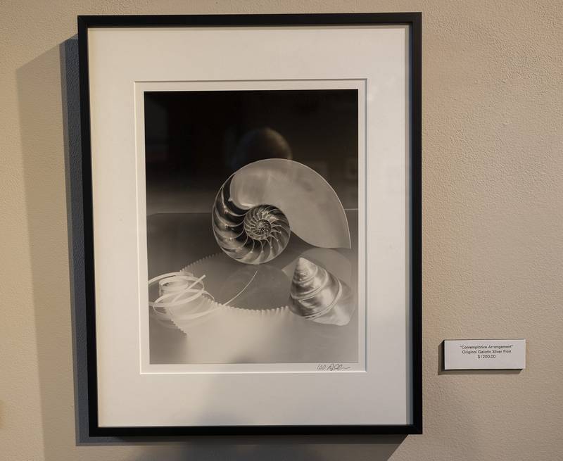 Les Allen's art show will be up until Nov. 20 at Sauk Valley Community College, Dixon.