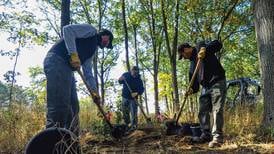 Forest Preserves hiring for temporary positions